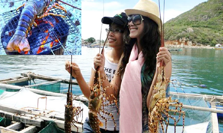 30/4 được nghỉ 5 ngày, đi chơi đâu?